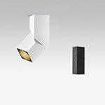 Rectangular Revolving Downlight