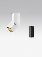 Rectangular Revolving Downlight