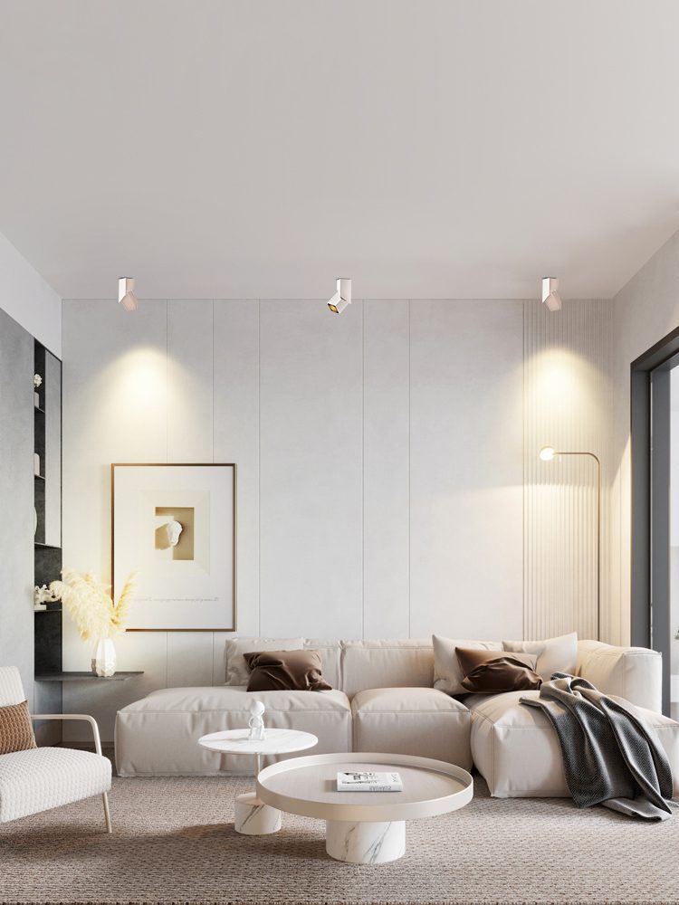 Rectangular Revolving Downlight