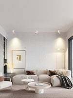 Rectangular Revolving Downlight