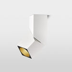 Rectangular Revolving Downlight