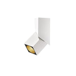 Rectangular Revolving Downlight