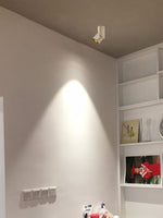 Rectangular Revolving Downlight