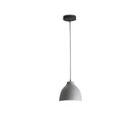 Resin Bowl Pendant Lamp