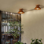 Retro Resin Ceiling Lamp