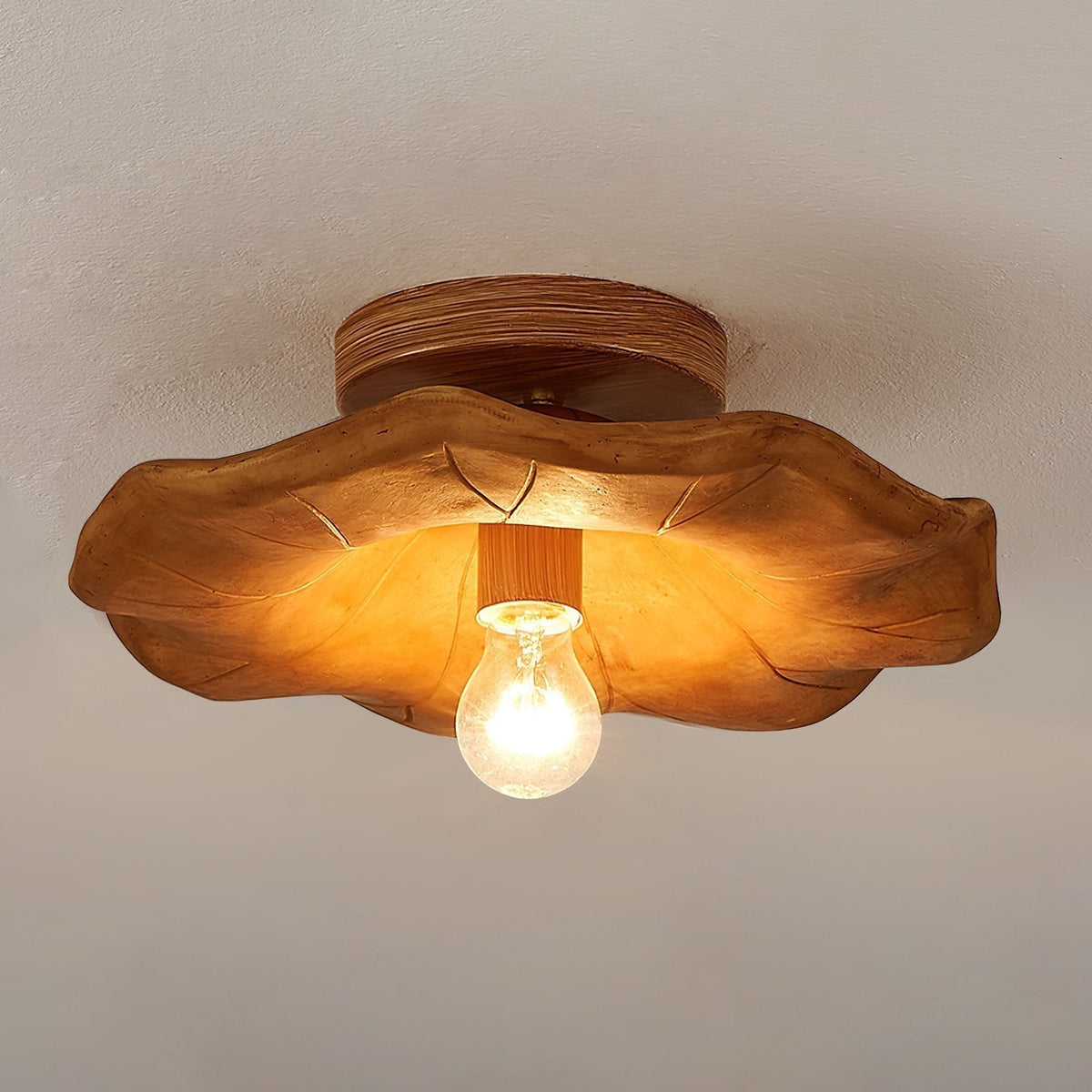 Retro Resin Ceiling Lamp