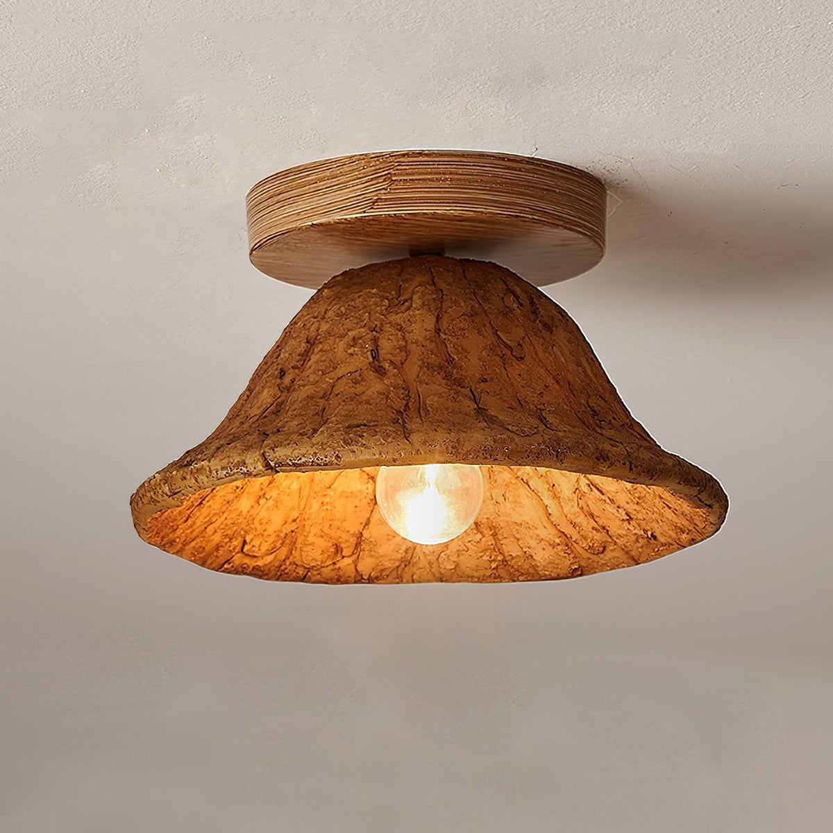 Retro Resin Ceiling Lamp