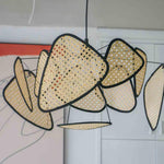 screen-cannage-suspension