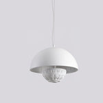 Semi Circular Pendant Light
