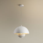 Semi Circular Pendant Light