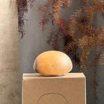 snowflake-alabaster-table-lamp-built-in-battery