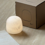 snowflake-alabaster-table-lamp-built-in-battery