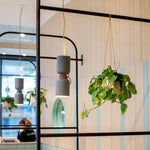 capsule-pendant-light
