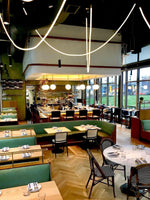 Flexible Curve Line Pendant Lamp
