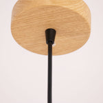 Wilbur Ginger Pendant Light