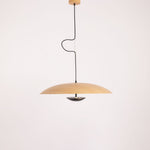 Wilbur Ginger Pendant Light