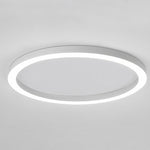 Lighting Ceiling Lights Flush Mount Lighting_Tli00190