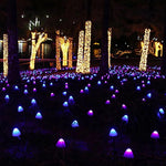 Outdoor Mini Mushroom Rgb Solar 16 40 Ft String Lights