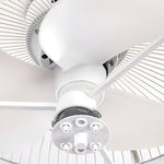 Creative Bladeless Ceiling Fans Light Ceiling Fans With Chandelier Ceiling Fan Lamp