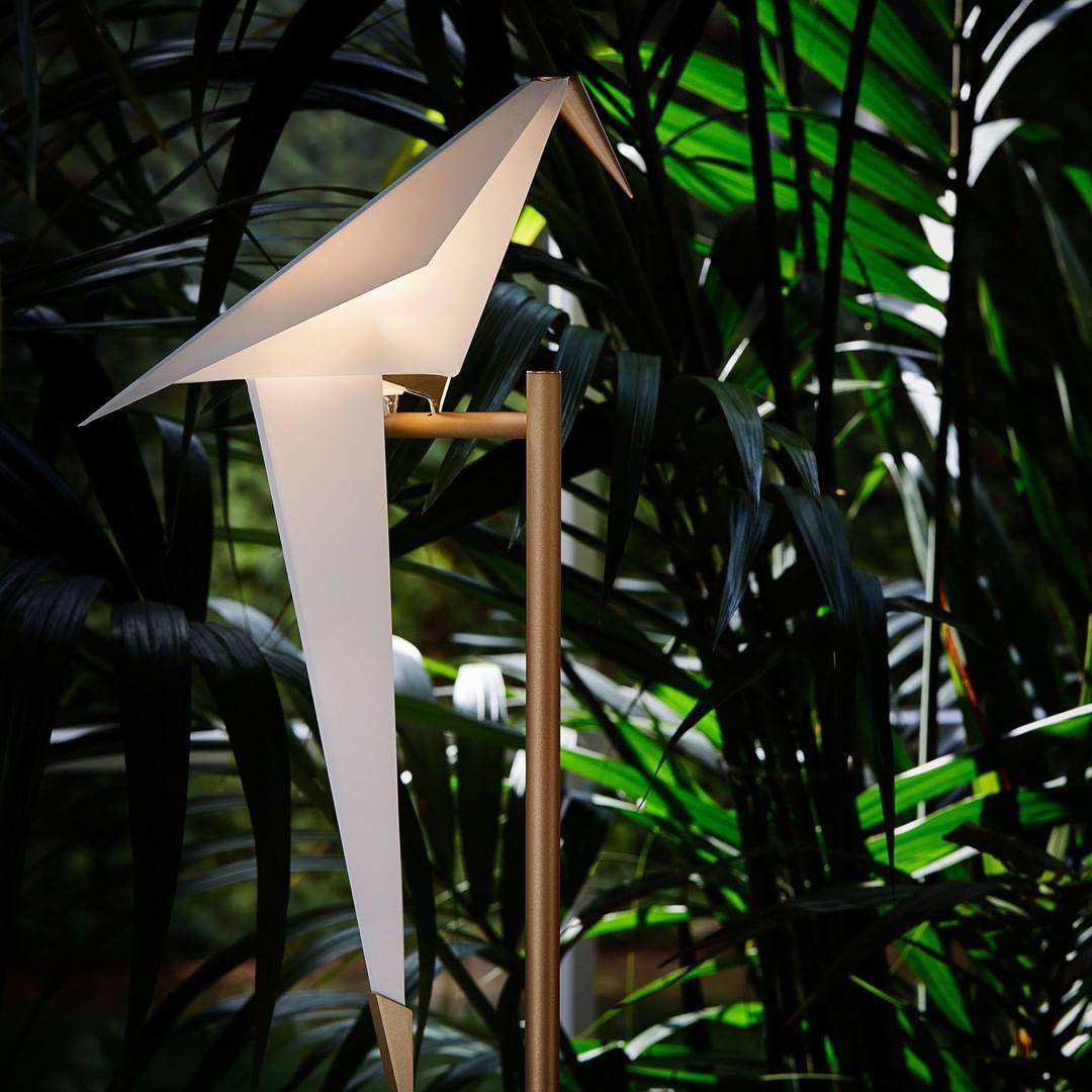 Perch Light Table Lamp